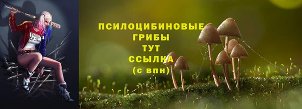 дмт Абинск