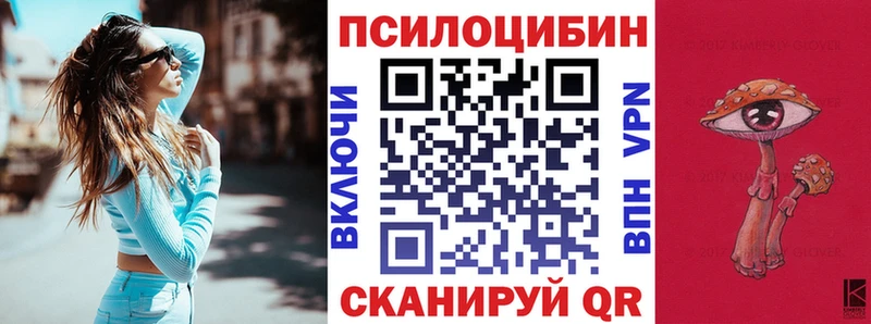 Псилоцибиновые грибы Psilocybine cubensis  OMG ссылки  Знаменск 
